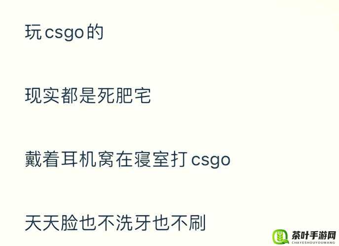 如何学习暴躁老阿姨 CSGO 技巧：提升游戏水平的实用方法