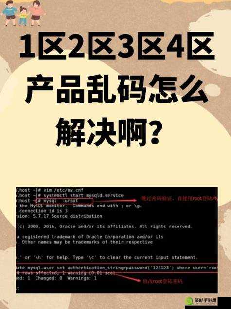 一二三区无线乱码 2024 相关情况详细说明及深入分析