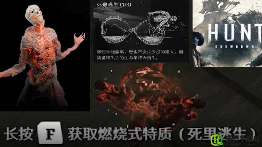 格斗宝贝魔穴猎杀挑战，解锁刺激单挑BOSS，尽享极致格斗盛宴