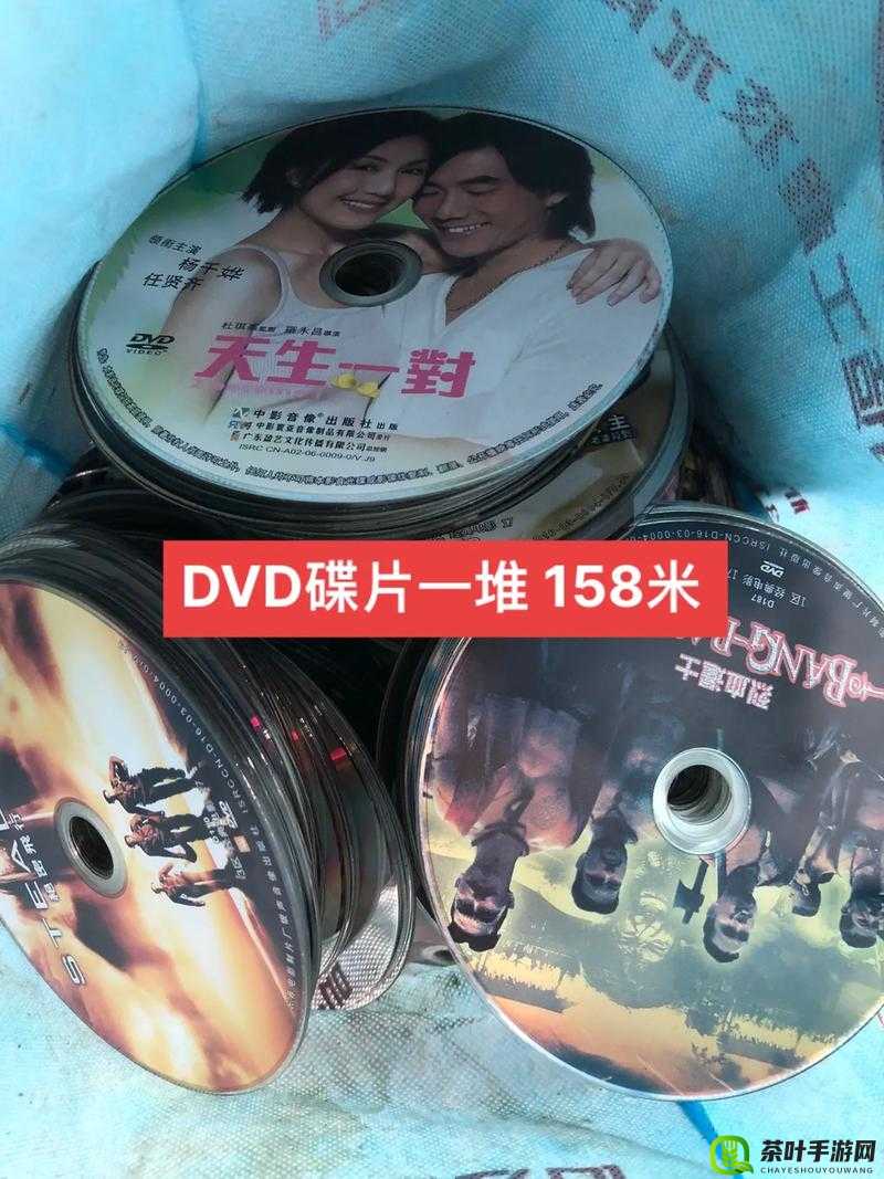 探寻高清 DVD 碟片生活片的精彩与魅力